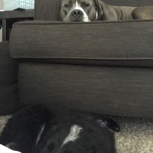 Meet your Posher, Jacob